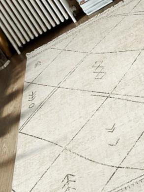 Home - Area Rug Cleaning 2 Hooshang Area Rug Cleaning Repair Service AR2